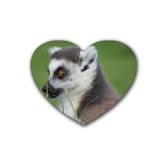 Ring Tailed Lemur  2 Drink Coasters (heart) by smokeart