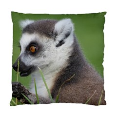 Ring Tailed Lemur  2 Cushion Case (one Side) by smokeart