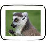 Ring Tailed Lemur  2 Mini Fleece Blanket (Two-sided) 35 x27  Blanket Back