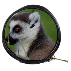 Ring Tailed Lemur  2 Mini Makeup Case by smokeart