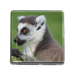 Ring Tailed Lemur  2 Memory Card Reader With Storage (square)