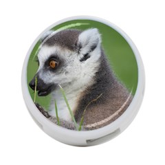 Ring Tailed Lemur  2 4-port Usb Hub (two Sides) by smokeart