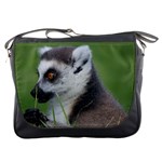 Ring Tailed Lemur  2 Messenger Bag Front