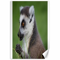 Ring Tailed Lemur  2 Canvas 20  X 30  (unframed) by smokeart