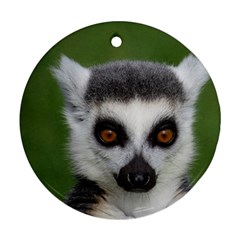 Ring Tailed Lemur Round Ornament by smokeart