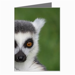 Ring Tailed Lemur Greeting Card by smokeart