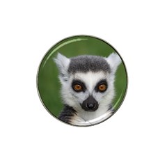 Ring Tailed Lemur Golf Ball Marker 4 Pack (for Hat Clip) by smokeart