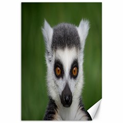 Ring Tailed Lemur Canvas 12  X 18  (unframed) by smokeart