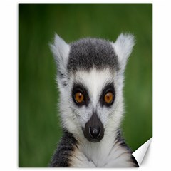 Ring Tailed Lemur Canvas 16  X 20  (unframed) by smokeart