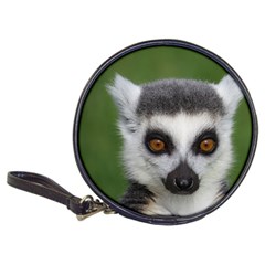 Ring Tailed Lemur Cd Wallet by smokeart