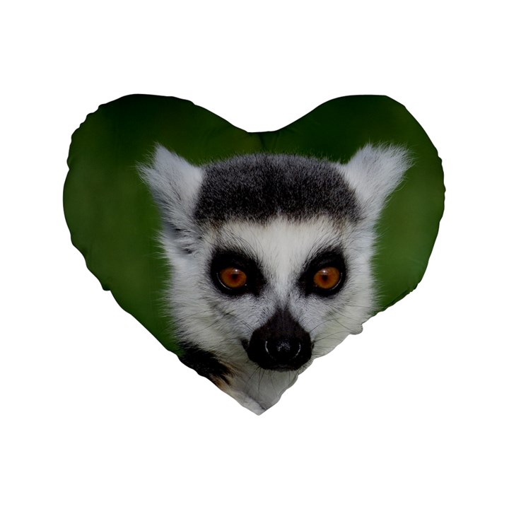 Ring Tailed Lemur 16  Premium Heart Shape Cushion 