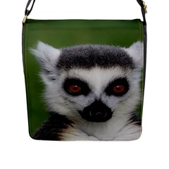 Ring Tailed Lemur Flap Closure Messenger Bag (large) by smokeart