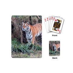 Tiger Playing Cards (mini)