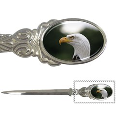 Bald Eagle (1) Letter Opener by smokeart