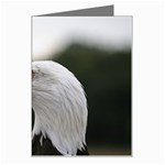 Bald Eagle (1) Greeting Card Left