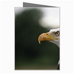 Bald Eagle (1) Greeting Card Right