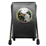 Bald Eagle (1) Stationery Holder Clock Front