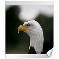 Bald Eagle (1) Canvas 20  X 24  (unframed) by smokeart