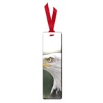 Bald Eagle (1) Small Bookmark Front