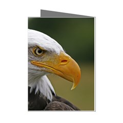 Bald Eagle (2) Mini Greeting Card (8 Pack) by smokeart