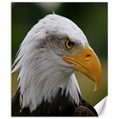 Bald Eagle (2) Canvas 8  X 10  (unframed) by smokeart