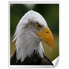 Bald Eagle (2) Canvas 18  X 24  (unframed) by smokeart