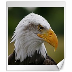 Bald Eagle (2) Canvas 20  X 24  (unframed) by smokeart