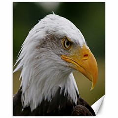 Bald Eagle (2) Canvas 11  X 14  (unframed) by smokeart