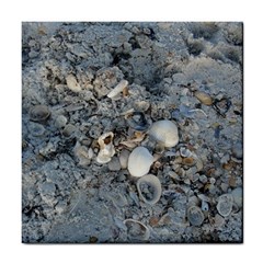 Sea Shells On The Shore Ceramic Tile by createdbylk