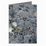 Sea Shells on the Shore Greeting Card Left