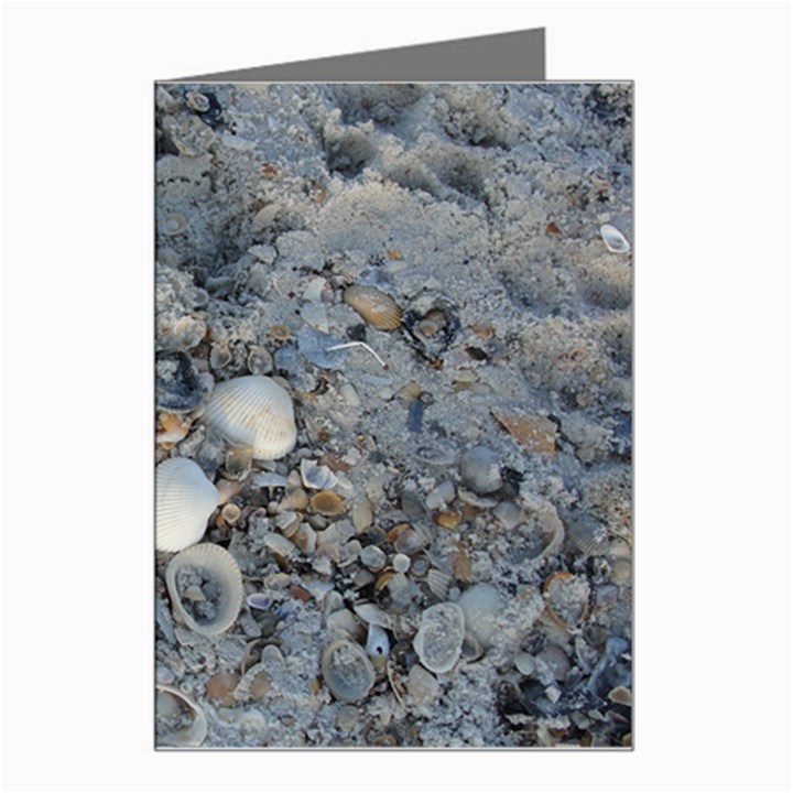 Sea Shells on the Shore Greeting Card