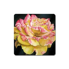 Allure Magnet (square) by pinguindesigns