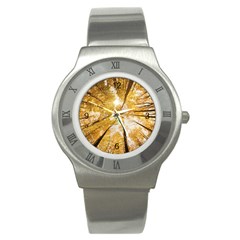 1280 960 (5) Stainless Steel Watch (unisex) by Naturemom2013