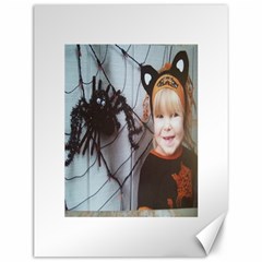 Spider Baby Canvas 12  X 16  (unframed) by tammystotesandtreasures