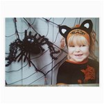 Spider Baby Glasses Cloth (Large, Two Sided) Back