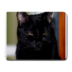 I Am Watching You! Small Mouse Pad (rectangle) by plindlau