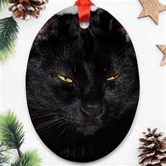 I Am Watching You! Oval Ornament by plindlau