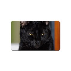 I Am Watching You! Magnet (name Card) by plindlau