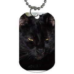 I Am Watching You! Dog Tag (one Sided)