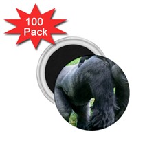 Gorilla Dad 1 75  Button Magnet (100 Pack) by plindlau