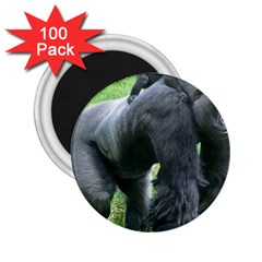 Gorilla Dad 2 25  Button Magnet (100 Pack) by plindlau