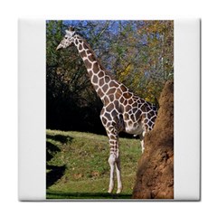 Giraffe Ceramic Tile