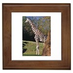 giraffe Framed Ceramic Tile Front