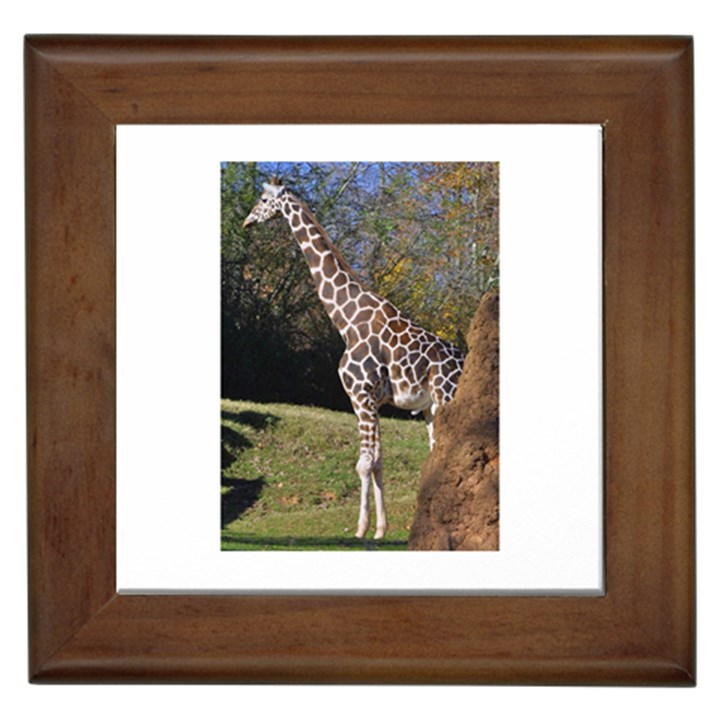 giraffe Framed Ceramic Tile