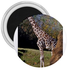 Giraffe 3  Button Magnet by plindlau