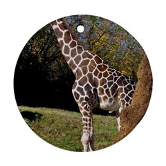 Giraffe Round Ornament by plindlau