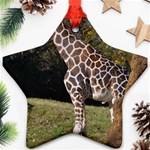 giraffe Star Ornament Front