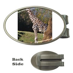 Giraffe Money Clip (oval)