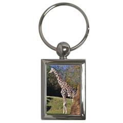 Giraffe Key Chain (rectangle) by plindlau