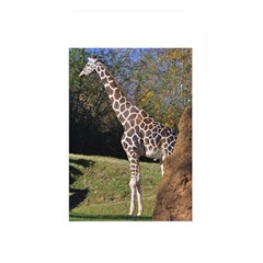 Giraffe Memory Card Reader (rectangular)